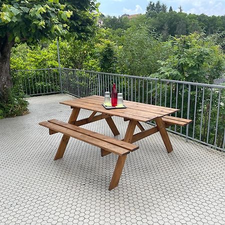 Paisible Eden Standing Terrasse - Magnifique Vue - Esprit Nature En Pleine Ville Tulle Exterior photo